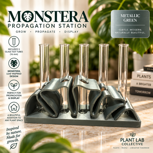 Monstera Propagation Station (5 tubes)