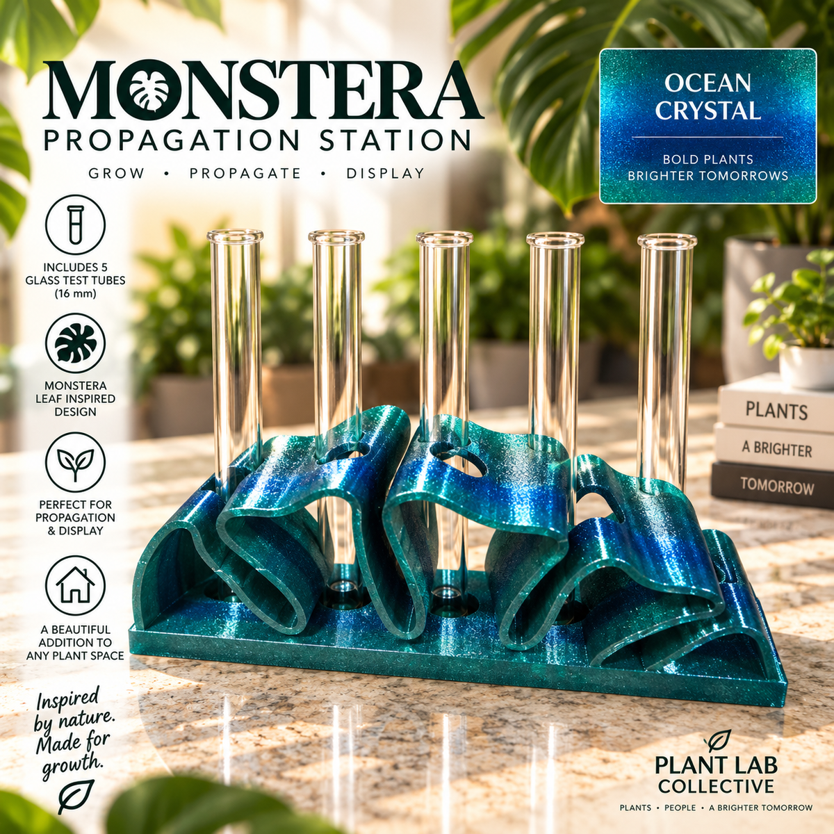Monstera Propagation Station (5 tubes)