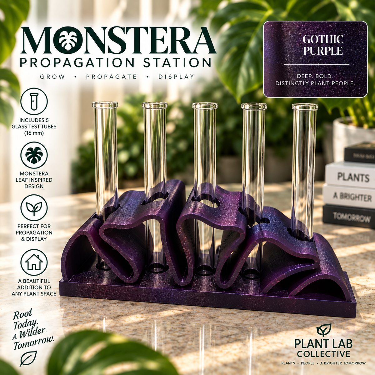 Monstera Propagation Station (5 tubes)