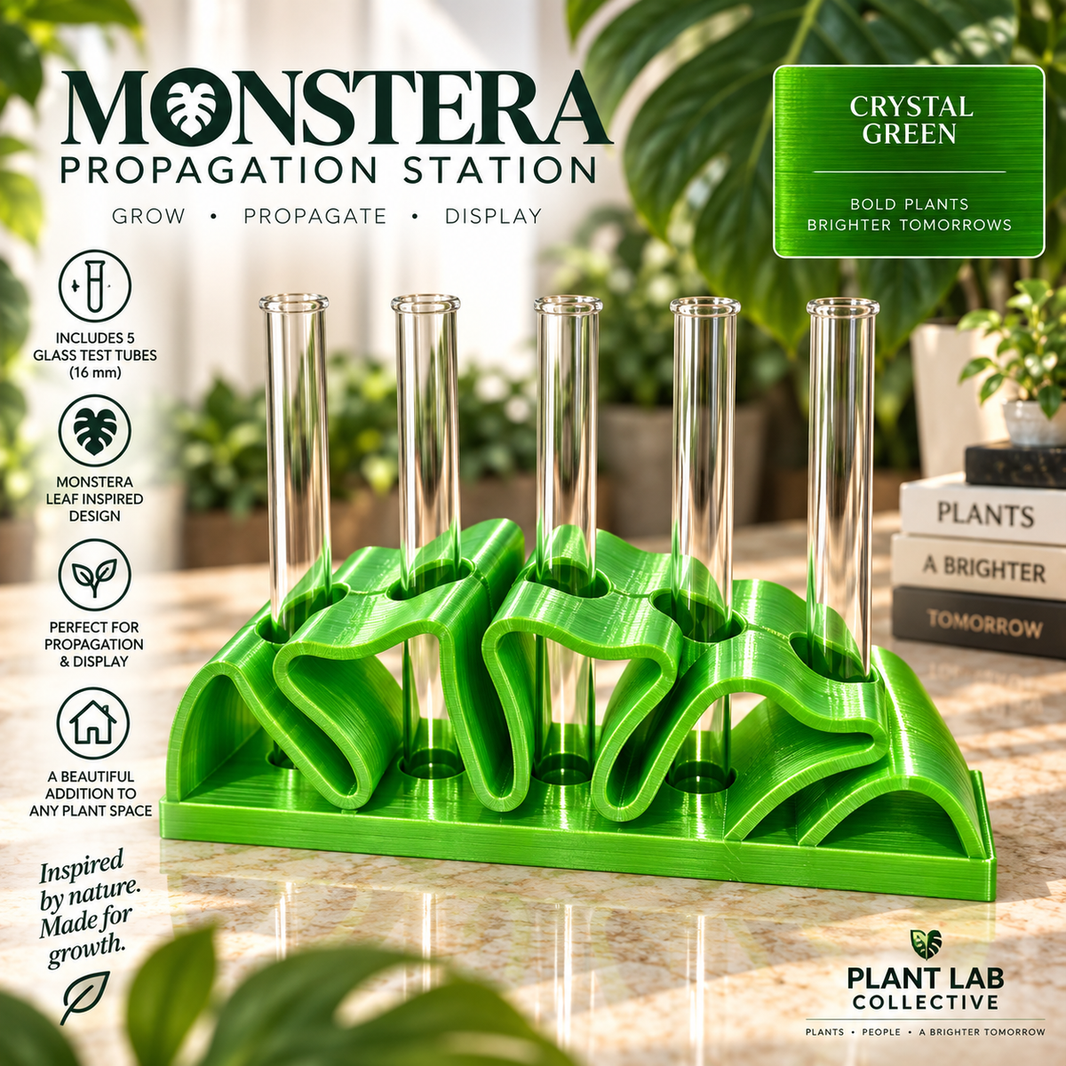 Monstera Propagation Station (5 tubes)